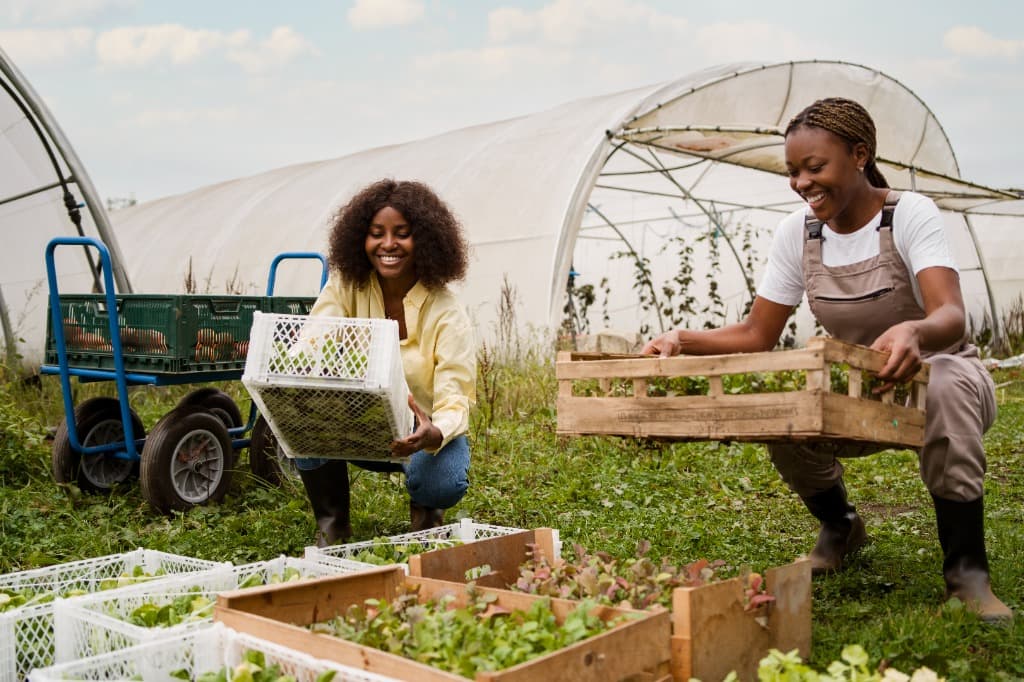 Agribusiness & Rural Economic Diversification